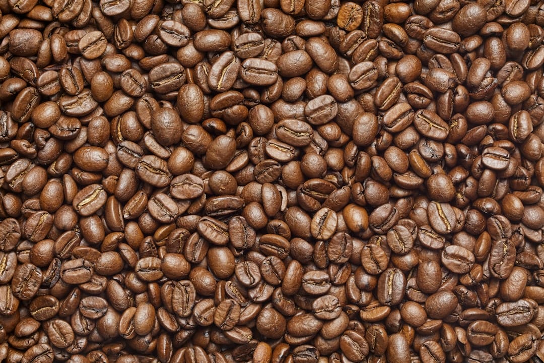 The Ultimate Guide to Brewing the Perfect Cup of Coffee