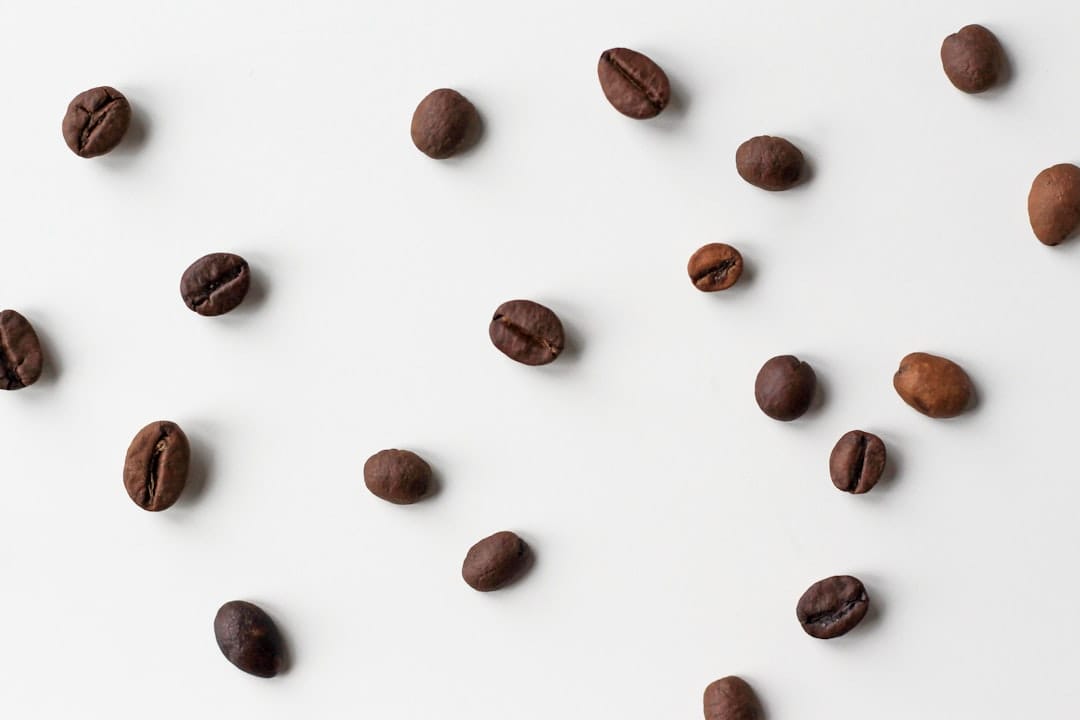 Discovering the Best Quality Coffee Beans for Your Perfect Cup