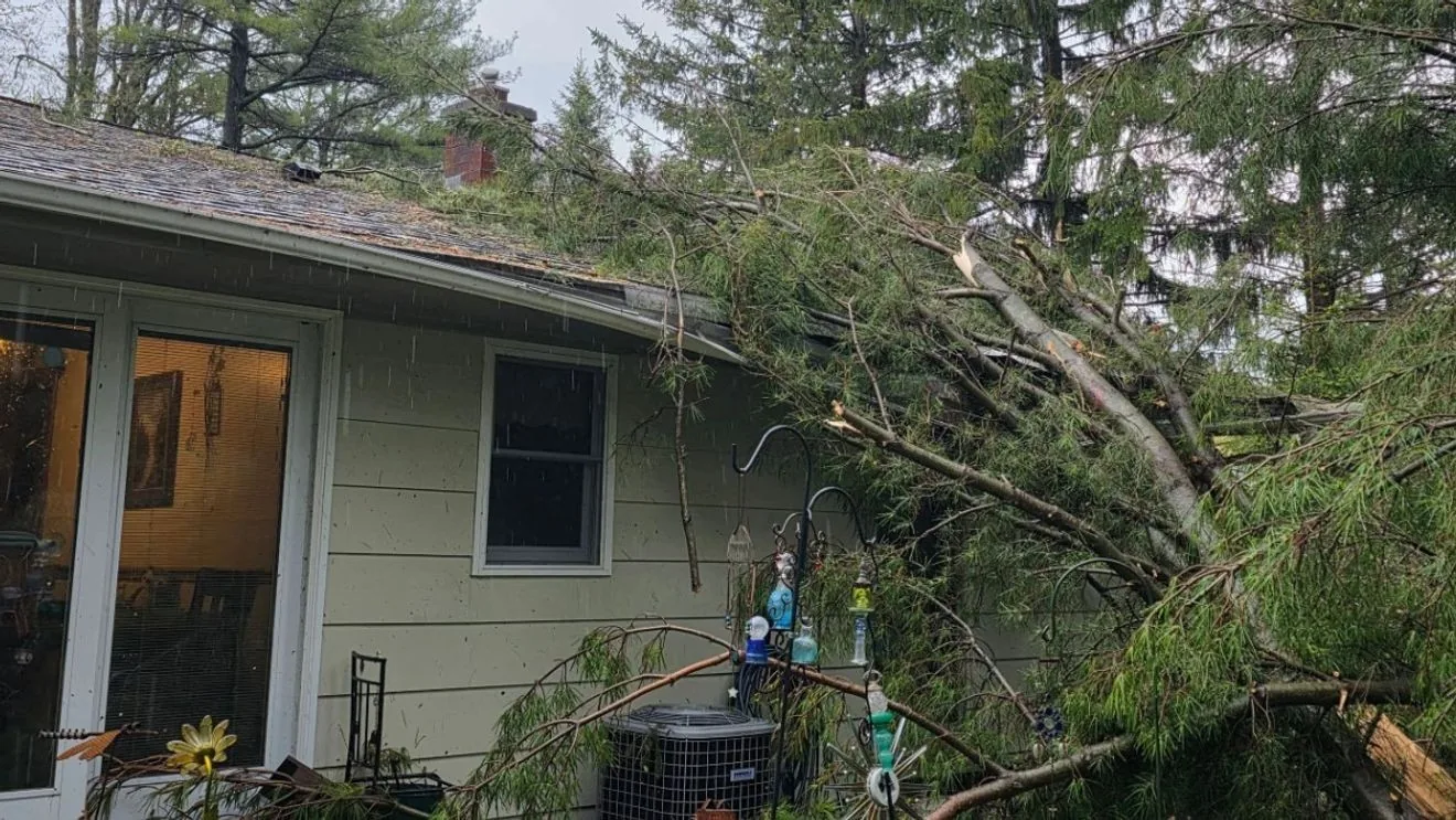 Storm damage in Manitowoc County with downed trees and utility lines after severe weather